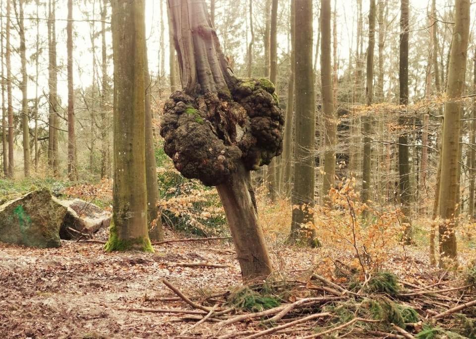 Le Chant De L Aisne Érezée Zewnętrze zdjęcie