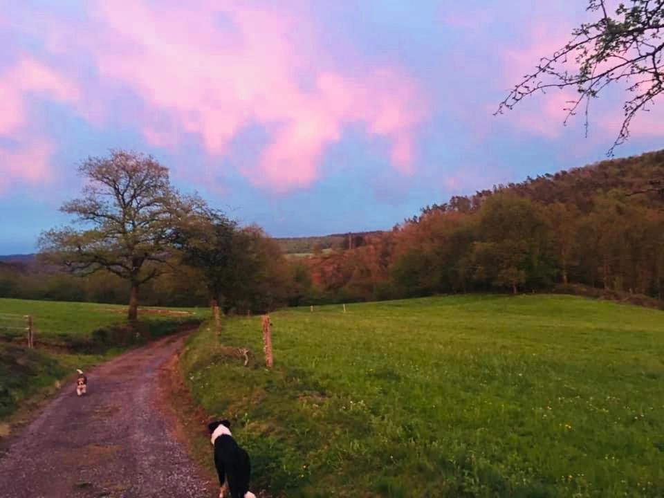 Le Chant De L Aisne Érezée Zewnętrze zdjęcie